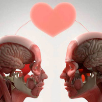 ¿Qué pasa en el cerebro cuando nos enamoramos?