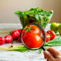 ¡No lo creerás! Existen frutas y verduras que están contaminadas y hace daño al organismo