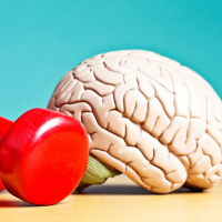 ¿Cómo conservar joven el cerebro?