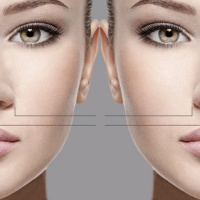 La belleza y el cerebro