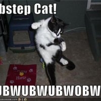Got any dubstep???