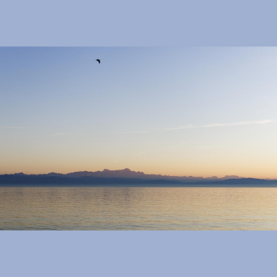 Michaela Werners Posts