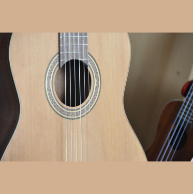 Michaela Werners Posts