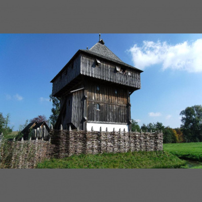 Michaela Werners Posts