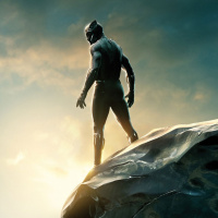 Nomination degli Oscar 2019