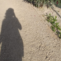 VIVA LA RADIO. Yo que soy una chica formal. Paseando la vida