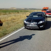 VIVA LA RADIO. Iudicandi te salutant. Los que van a ser. Huir de un control policial no es un delito