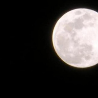 VIVA LA RADIO. SUPERLUNA