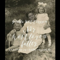 Om Gunilla Wettergren