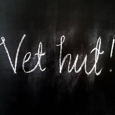 Snedtänkt Med Kalle Lind