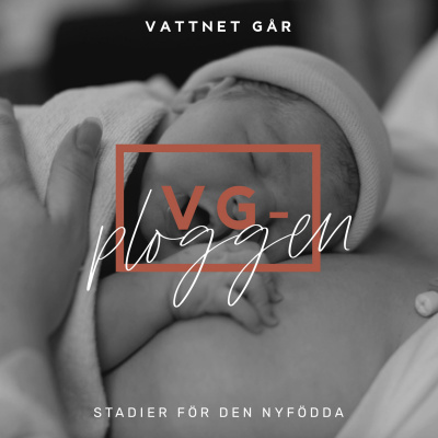 Vattnet Går