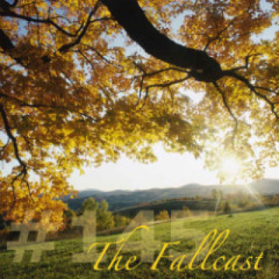 The Toadcast - The Weekly Podcast From Song, By Toad