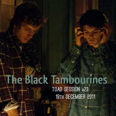 The Toadcast - The Weekly Podcast From Song, By Toad