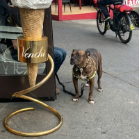 05122022 NYC Night Two Preshow