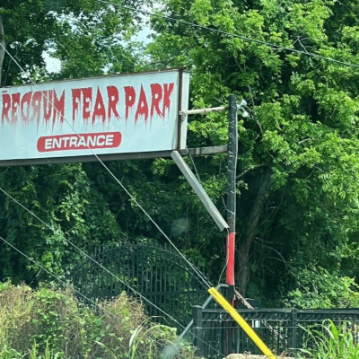 Tour All Night: The Shows Of Tori Amos