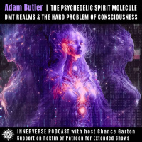 Adam Butler | The Psychedelic Spirit Molecule: DMT Realms amp The Hard Problem of Consciousness