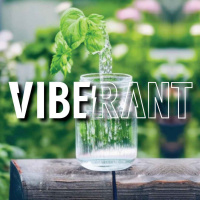 Astro Herbalism of Aquarius with Kyle (Tippecanoe Herbs) amp Michelle Lundquist | Vibe Rant ep. 75