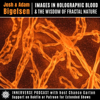 Josh amp Adam Bigelsen | Images In Holographic Blood amp the Wisdom of Fractal Nature