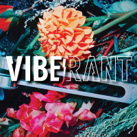 Tippecanoe Tuning Q amp A with Chance amp Herbalist Kyle Denton | Vibe Rant 118