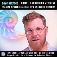 Dave Maybee | Holistic Auricular Medicine, Fractal Mysteries amp The Ears Energetic Anatomy