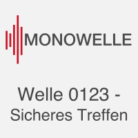 Welle 0123 - Sicheres Treffen
