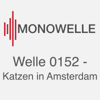 Welle 0152 - Katzen in Amsterdam