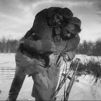 #313 Cuando pasan las cigüeñas (1957), de Mikhail Kalatozov