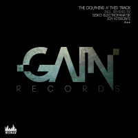 The Dolphins - This Track (Sisko Electrofanatik Remix) [Gain]