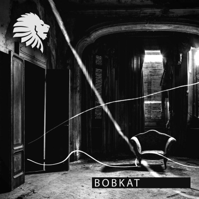 Sisko Electrofanatik