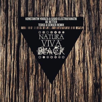 Sisko Electrofanatik