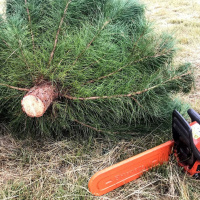 PLUG - the worlds funnest quiz