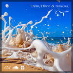 Steve Taylor: Deep  Soulful House