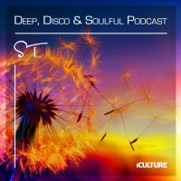 Deep, Disco  Soulful 20.01