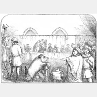 Animals on Trial