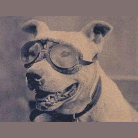 The First Drive Across America