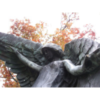 Urban Legends Part One