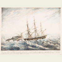The Sinking of the Whaleship Essex
