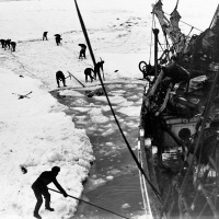 The Endurance Expedition