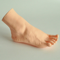 Salish Sea Human Foot Discoveries