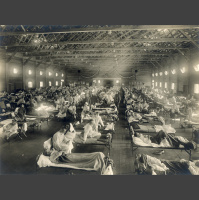 The Spanish Flu
