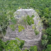 How I Survived a Wedding in a Jungle That Tried to Eat Me Alive