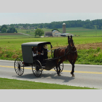 The Amish