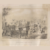 The Narvaez Expedition