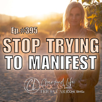 395: TRYING to Manifest DOESN’T WORK