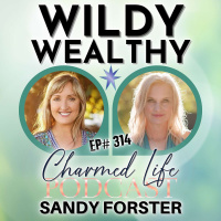 314: Wildly Wealthy Sandy Forster, Author + Money Mindset Mentor