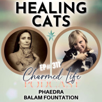 311: Healing Cats, The Soul-Driven Mission of Phaedra of Balam Foundation
