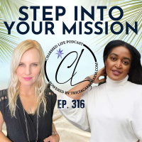 316: Step Out of the Matrix and Into Your Mission with Jocelyn Kelly Reid