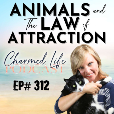Charmed Life With Tricia Carr