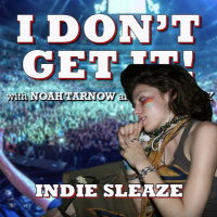 I Dont Get It: Indie Sleaze