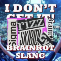 I Dont Get It: Brainrot Slang